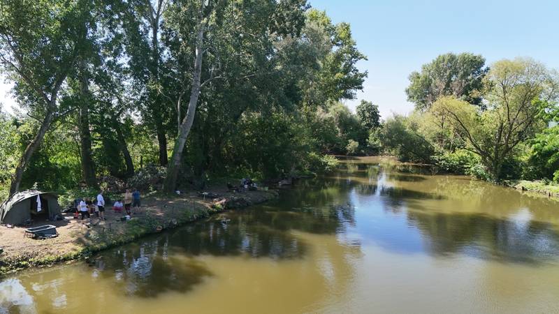 Rybári pod stromami